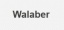 Walaber logo