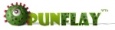 PunFlay logo
