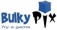 Bulkypix logo