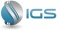 IGS BTL Interactives logo