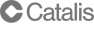 The Catalis Group logo