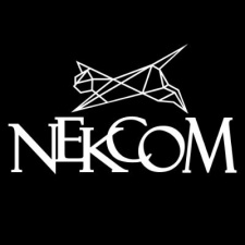 China's Nekcom secures $8m in Series A round
